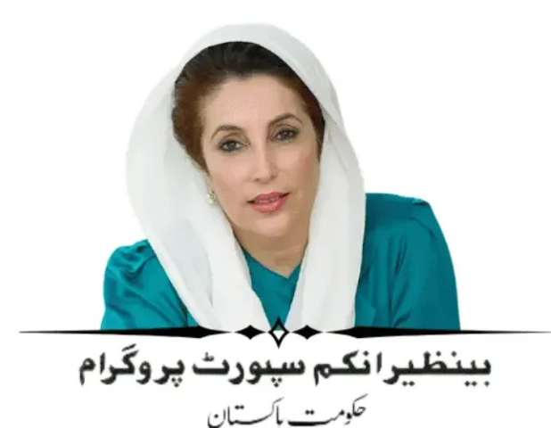 BISP 8171 Web Portal